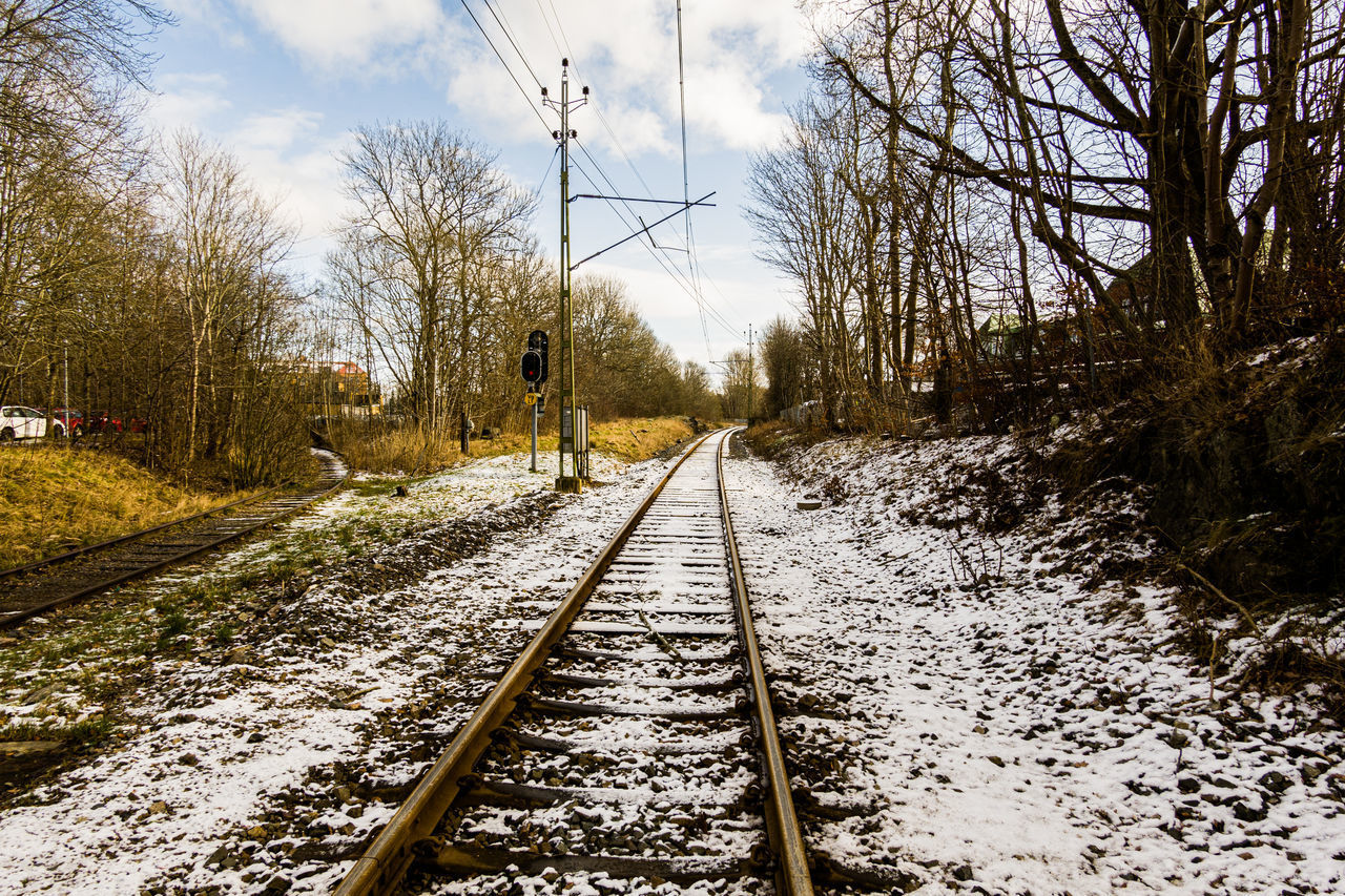 VIEW OF RAILROAD TRACKS ALONG BARE TREES