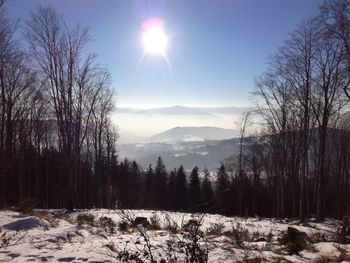 Trees on snow covered landscape against sky