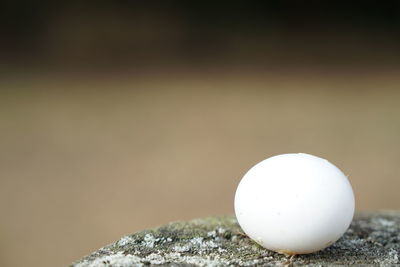 Close-up of crystal ball on rock