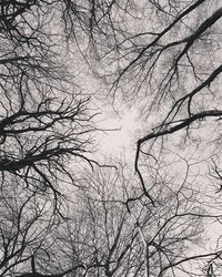 Low angle view of bare tree against sky