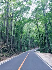 Road amidst trees