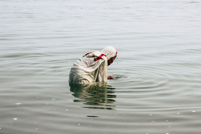 High angle view of woman swimming in lake