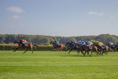 Horse race on grassy field against sky