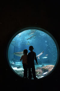 Siblings looking at fish while standing in aquarium