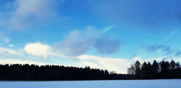 Silhouette trees on snow covered land against blue sky