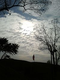 silhouette
