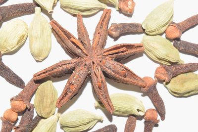 Close-up of food against white background