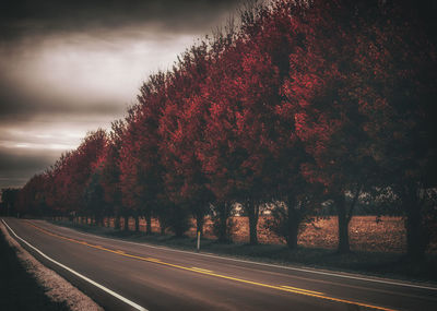 Road by trees against sky during sunset