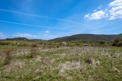 Scenic view of field against blue sky