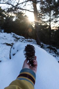 Close-up of hand feeding on snow