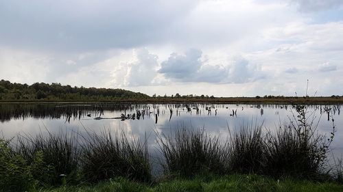 Scenic view of lake against sky