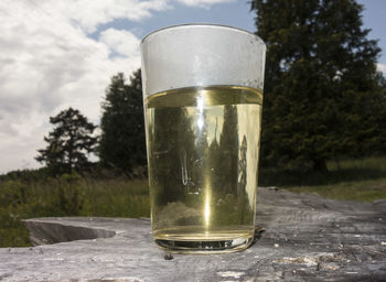 Close-up of glass of water against trees