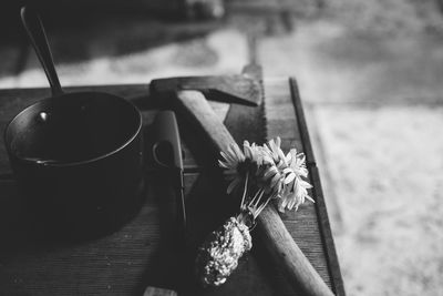 Close-up of potted plant on table