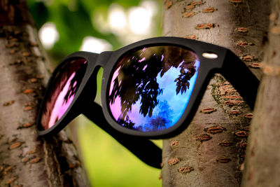 Close-up of sunglasses on tree trunk