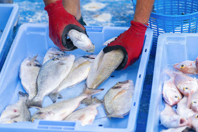 Man holding fish at market