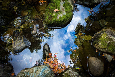 High angle view of reflection of trees in lake