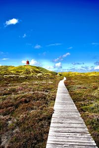 Boardwalk amidst plants on land against blue sky