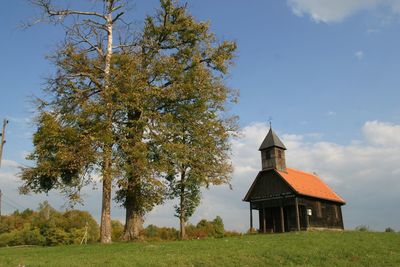 Wooden church