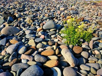 Close-up of pebbles