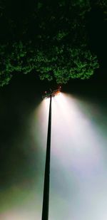 Silhouette of street light against sky at night