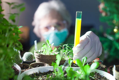 Close-up of woman examining plants in greenhouse