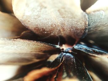 Macro shot of cake