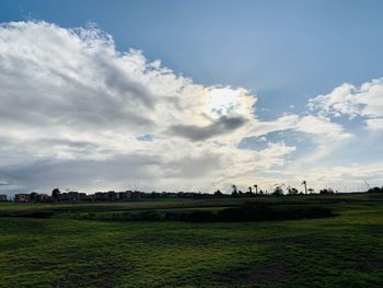 Scenic view of field against sky