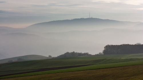 Scenic view of agricultural field against sky