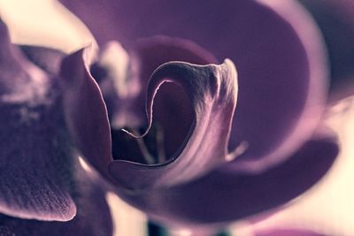 Close-up of heart shape with flowers