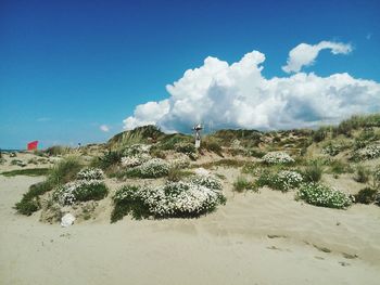 Scenic view of beach against blue sky