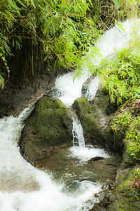 Stream flowing through rocks in forest