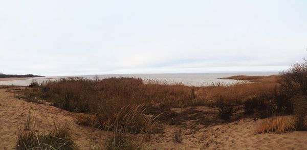 Scenic view of beach against sky