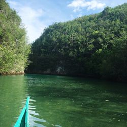 Calm lake with trees in background