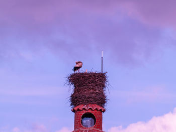 Low angle view of bird on building against sky