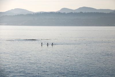 Silhouette people in sea against sky