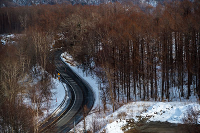 High angle view of snow covered road amidst trees