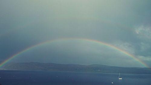 Rainbow over trees