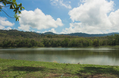 Scenic view of lake and trees against sky