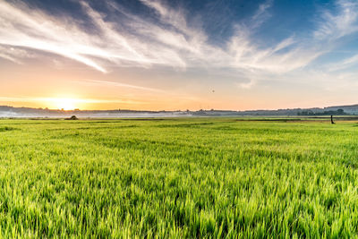 Scenic view of field against sky during sunset