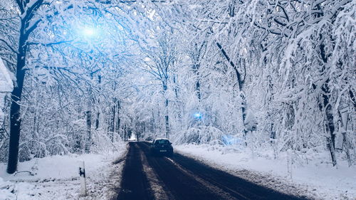 Snow covered road amidst trees in forest