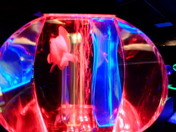 Close-up of colorful lights