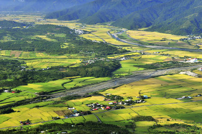 Scenic view of agricultural field by trees and buildings