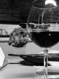 Close-up of cat on table