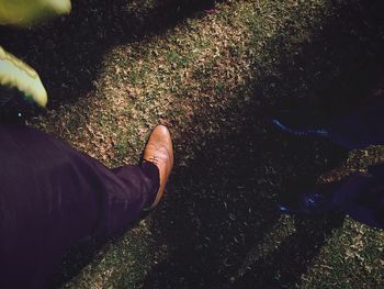 Low section of person wearing shoes