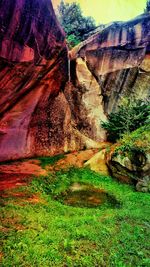 Scenic view of landscape