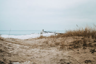 Scenic view of beach against sky