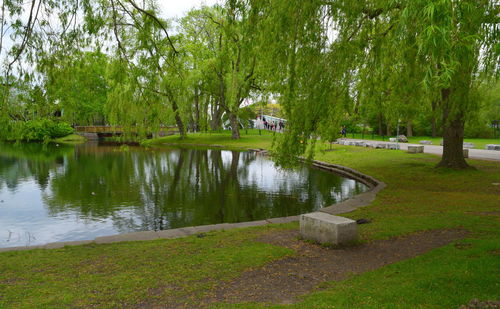 View of pond in park