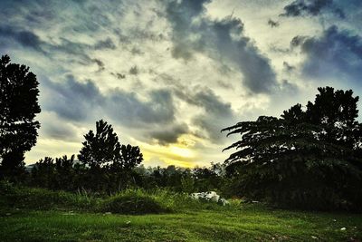 Silhouette trees on landscape against sky