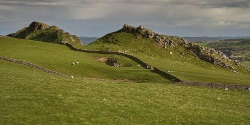 Scenic view of grassy field against sky