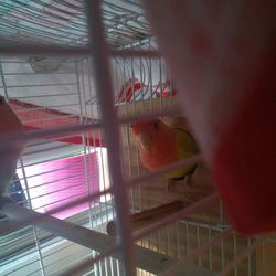 Close-up of cage in the dark